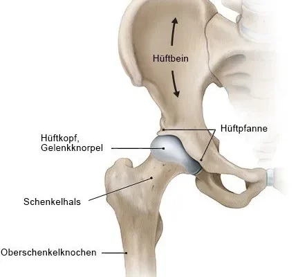 hueftgelenk_dejpg_replacement_image